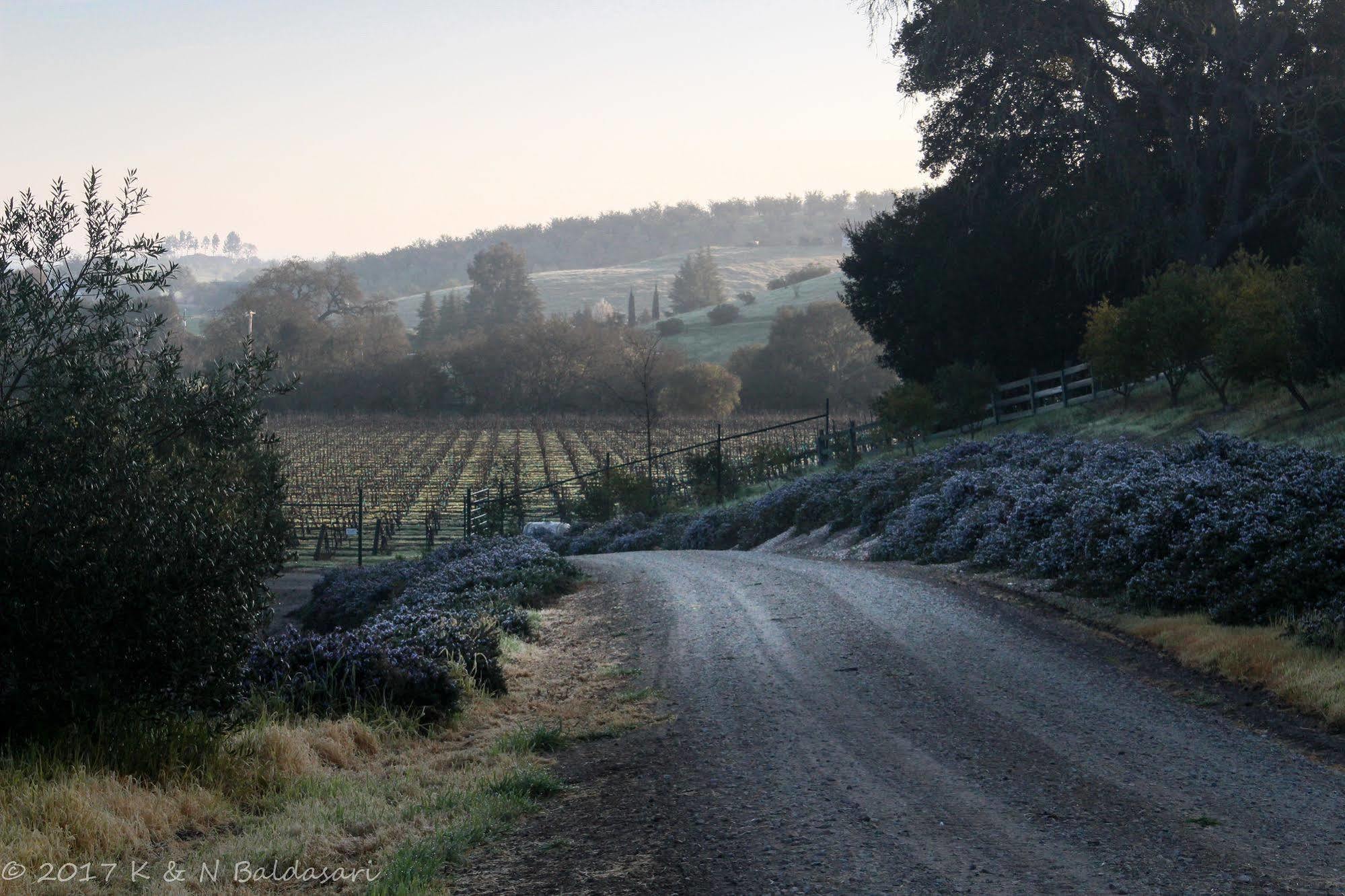 The Eden House Vineyard Hotel Templeton Exterior foto