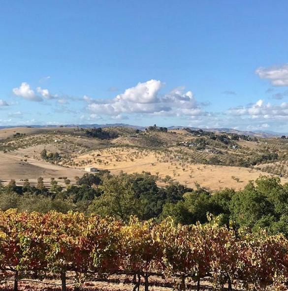 The Eden House Vineyard Hotel Templeton Exterior foto